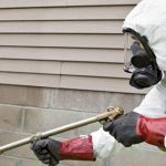 Terms to consider before choosing the pest control service