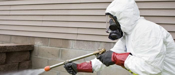 Terms to consider before choosing the pest control service