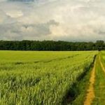 Buying Farmland for Sale