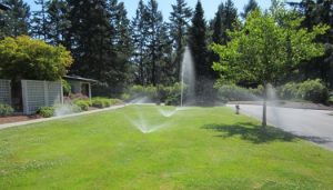 sprinkler technology2