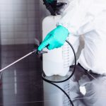 Pest control Services – A Comprehensive Guide