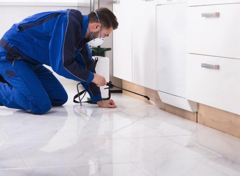 Top Reasons to Consider Getting Building and Pest Inspection Service