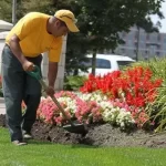 Customized Landscaping Solutions Located in Victoria, British Columbia