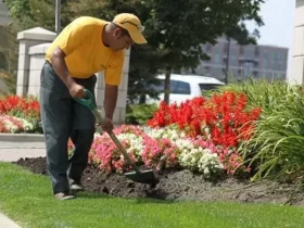 Customized Landscaping Solutions Located in Victoria, British Columbia